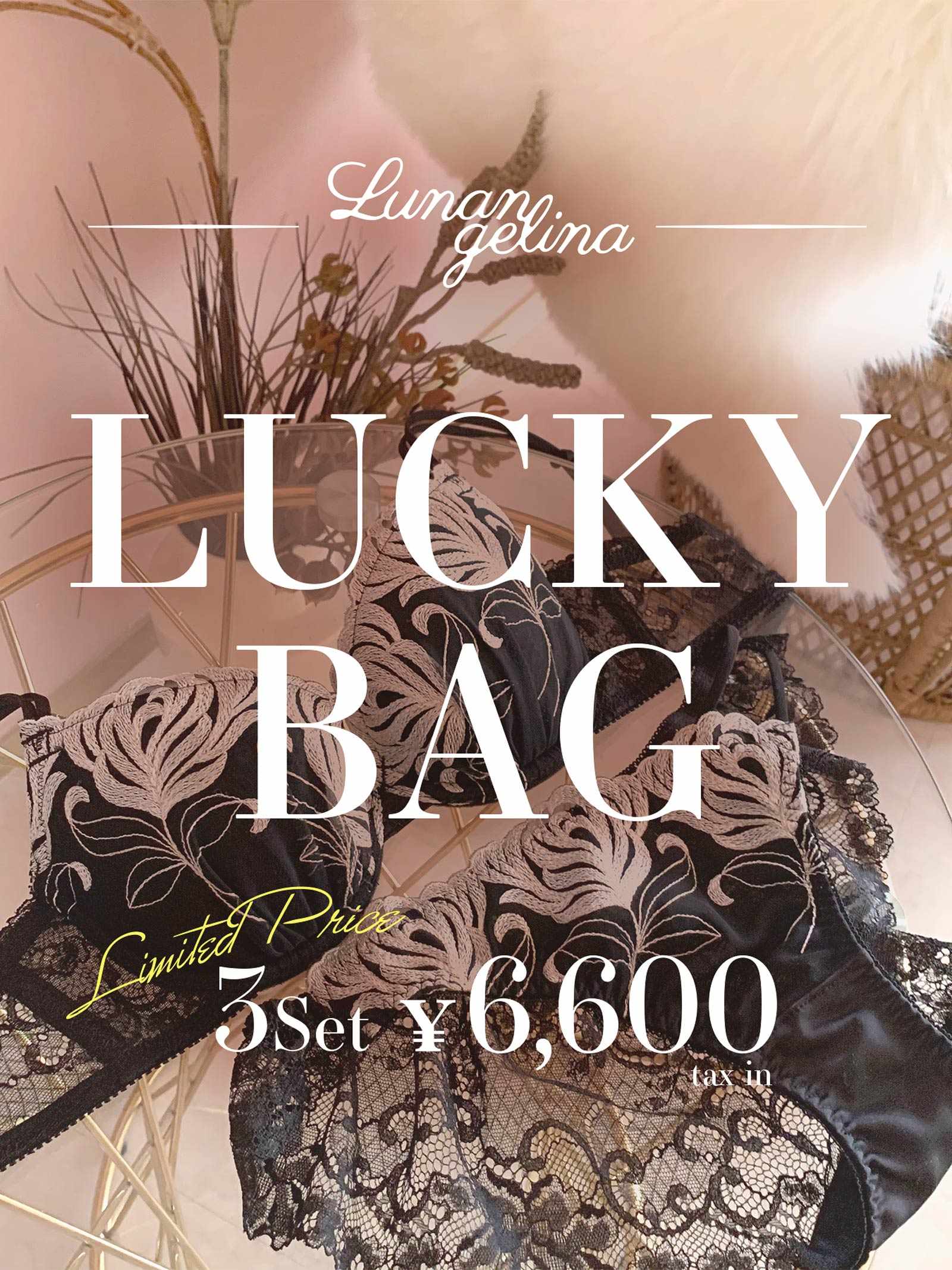 【LUCKY BAG】Lunangelinaブラジャー＆ハーフバック＆Tバックショーツ入り福袋